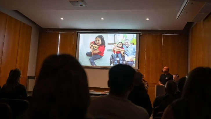 Ultiman detalles para el ingreso de animales de compañía en el Hospital Vilela