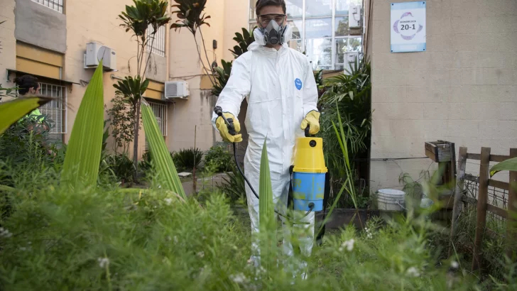 Salud Municipal refuerza medidas de prevención tras confirmar la presencia del mosquito transmisor