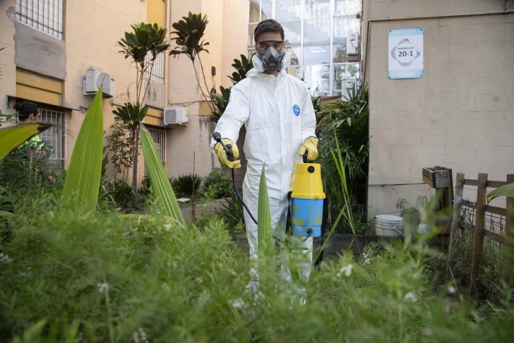 Salud Municipal refuerza medidas de prevención tras confirmar la presencia del mosquito transmisor