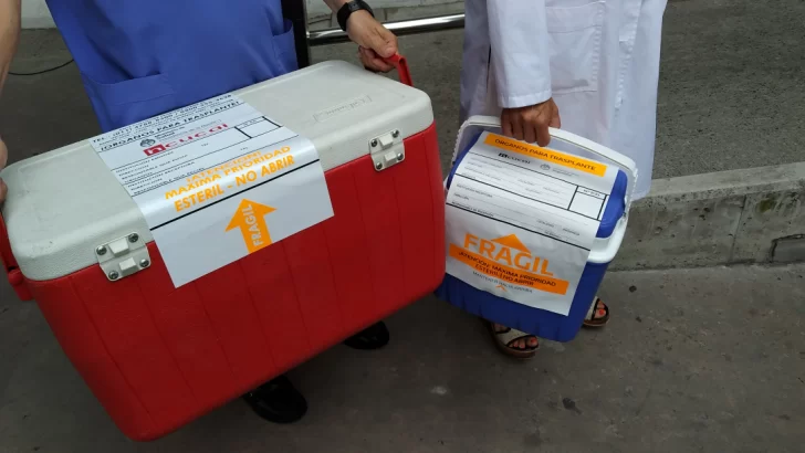 Octubre: Santa Fe tuvo uno de los meses con más donantes de órganos de su historia