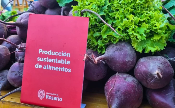 La Municipalidad impulsa la sustentabilidad entregando verduras agroecológicas