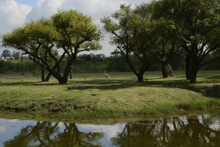 Para descargar: la Municipalidad presentó el Calendario Ambiental 2026 Para descargar: la Municipalidad presentó el Calendario Ambiental 2026