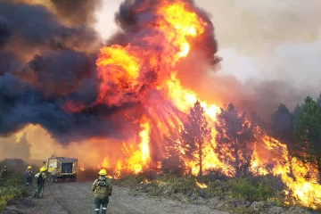 Incendios en Chubut: “Es la peor tragedia ambiental en 20 años” Incendios en Chubut: “Es la peor tragedia ambiental en 20 años”