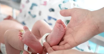 Demografía: en 6 años nacieron 14.000 bebés menos en Santa Fe Demografía: en 6 años nacieron 14.000 bebés menos en Santa Fe