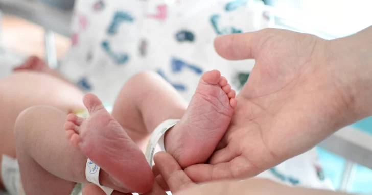 Demografía: en 6 años nacieron 14.000 bebés menos en Santa Fe Demografía: en 6 años nacieron 14.000 bebés menos en Santa Fe