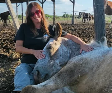 “Tienen que ir a vivir libremente, no más carro, no más rebenque, no más látigo” “Tienen que ir a vivir libremente, no más carro, no más rebenque, no más látigo”