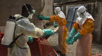 La OMS decretó la emergencia sanitaria internacional por brote de ébola en Africa La OMS decretó la emergencia sanitaria internacional por brote de ébola en Africa