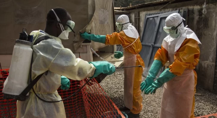 La OMS decretó la emergencia sanitaria internacional por brote de ébola en Africa La OMS decretó la emergencia sanitaria internacional por brote de ébola en Africa