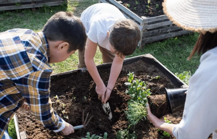 Arrancan los cursos y talleres abiertos de la Escuela de Jardinería Arrancan los cursos y talleres abiertos de la Escuela de Jardinería