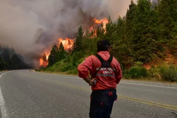 Expertos calcularon cuánto costaron los incendios en la Patagonia y la conclusiones fueron alarmantes Expertos calcularon cuánto costaron los incendios en la Patagonia y la conclusiones fueron alarmantes