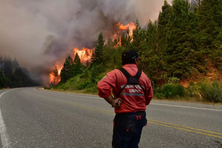 Expertos calcularon cuánto costaron los incendios en la Patagonia y la conclusiones fueron alarmantes Expertos calcularon cuánto costaron los incendios en la Patagonia y la conclusiones fueron alarmantes
