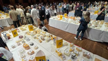 El Mundial de Quesos de Brasil distinguió a productores santafesinos con múltiples medallas El Mundial de Quesos de Brasil distinguió a productores santafesinos con múltiples medallas