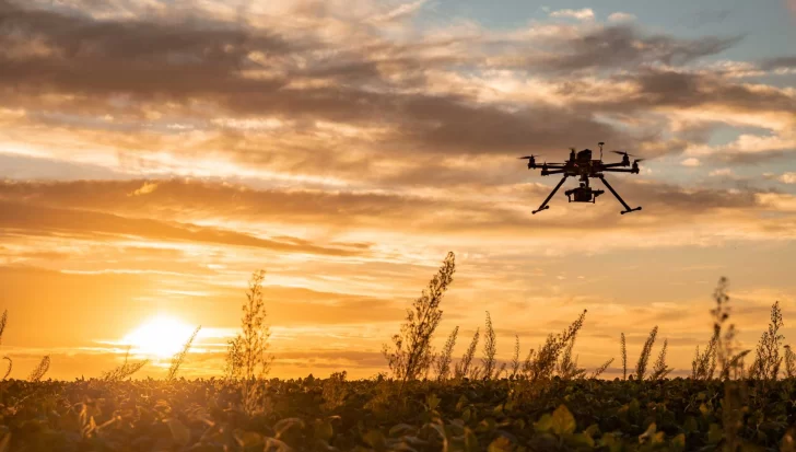 La inteligencia artificial puede ayudar a evitar la extinción de miles de especies vegetales La inteligencia artificial puede ayudar a evitar la extinción de miles de especies vegetales