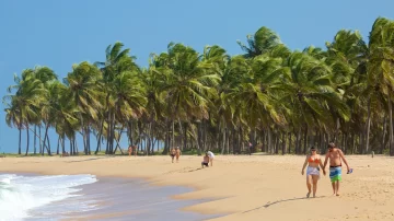 Verano en Maceió: el Aeropuerto de Rosario suma una nueva conexión directa Verano en Maceió: el Aeropuerto de Rosario suma una nueva conexión directa