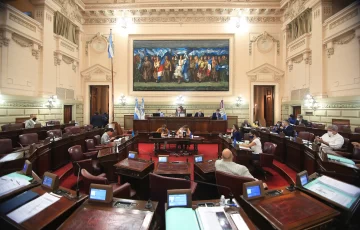 La Cámara de Diputados abordará la problemática de la Salud Mental La Cámara de Diputados abordará la problemática de la Salud Mental