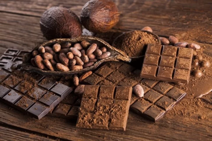 Día Mundial del Cacao: tres recetas fáciles para hacer en casa y celebrar su milenaria historia Día Mundial del Cacao: tres recetas fáciles para hacer en casa y celebrar su milenaria historia